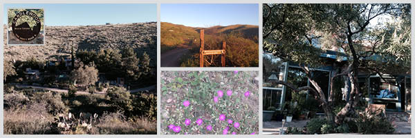 Visit to VRVNO: Mescal Canyon Retreat